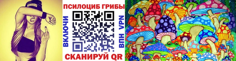 магазин Циолковский Псилоцибиновые грибы Cubensis